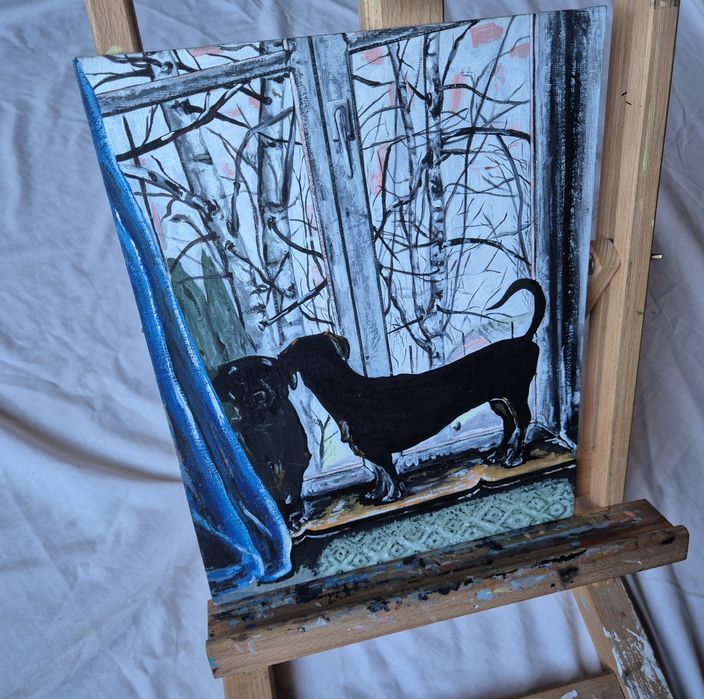 Jamniki jamnik w oknie obraz na płótnie od artysty