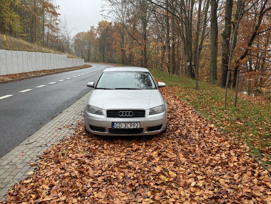 Audi A3 8P 2.0 FSI AUTOMAT! Okazja!
