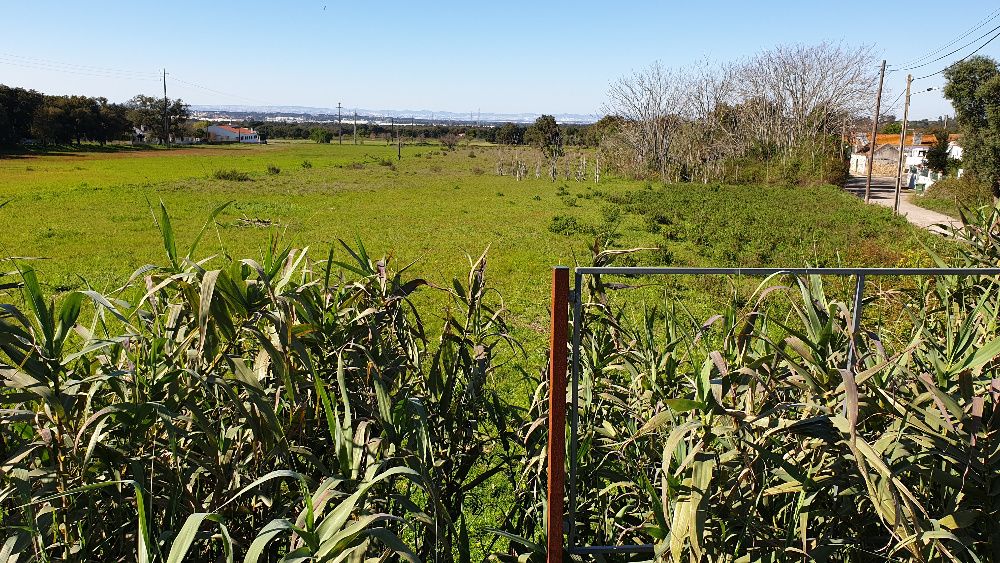 Terreno 1,8 ha parcialmente urbanizável - Quinta do Anjo - Cabanas