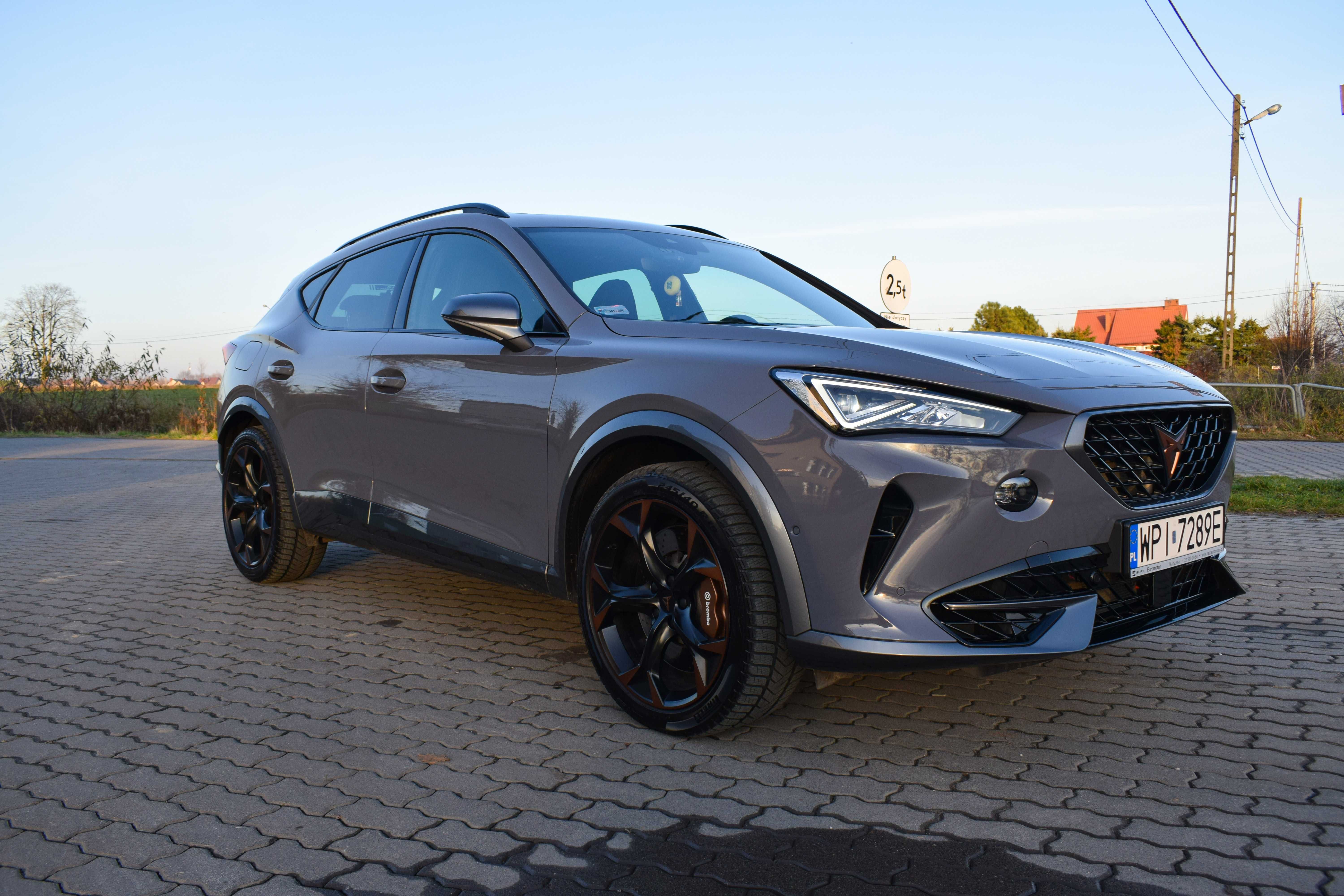Cupra Formentor VZ 310KM Full Opcja
