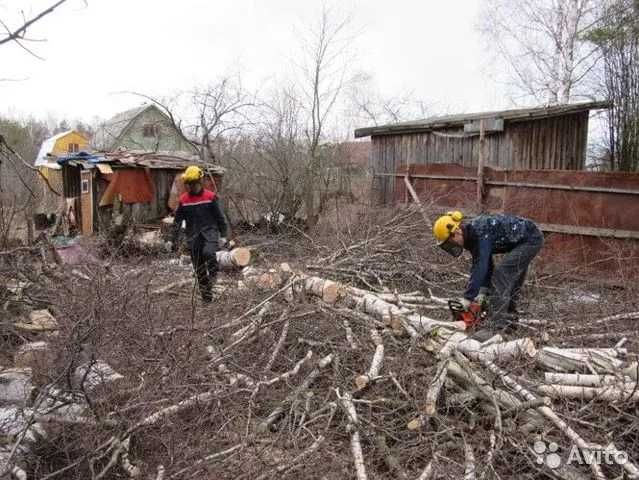 Покос травы поросли культивация, обрезка спил деревьев, уборка участка