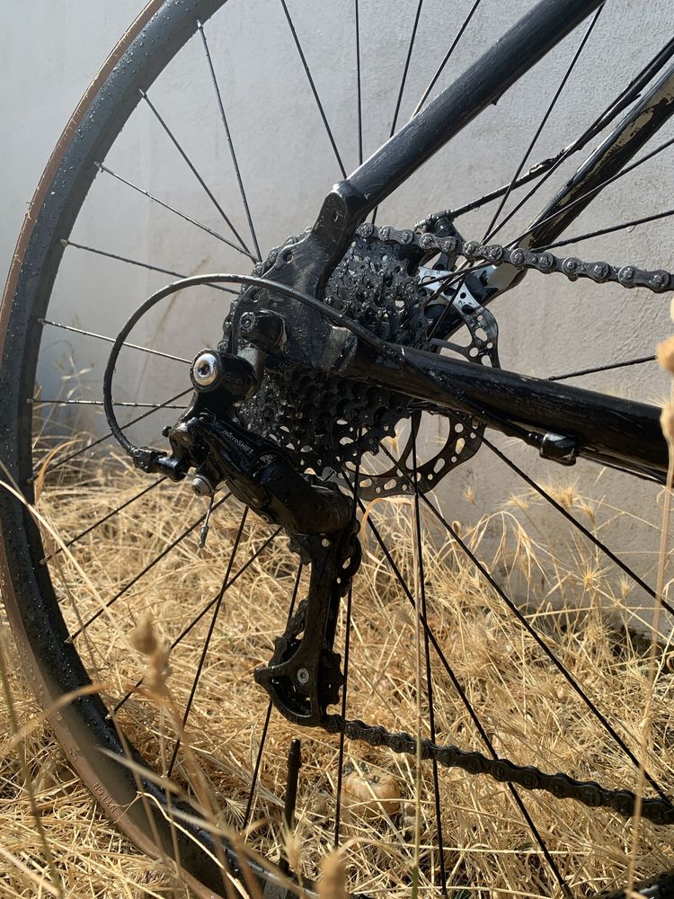 Triban rc120 pintada