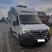 Renault MASTER TwinCab CHŁODNIA  Salonowe Poduszki