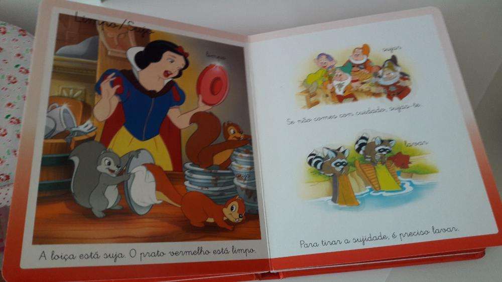 Livro "Aprendo com a Disney - os contrários"