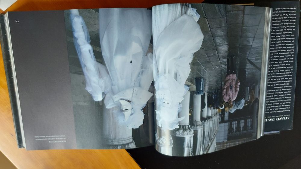 Através das Lentes Uma Janela para o Mundo