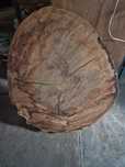 Plaster drewna na stół 80x70x15