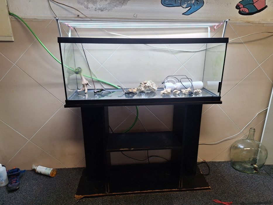 Aquario 100x40x30cm + Armário