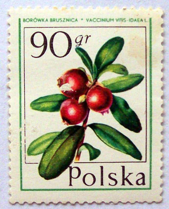 L Znaczki polskie rok 1977 kwartał I