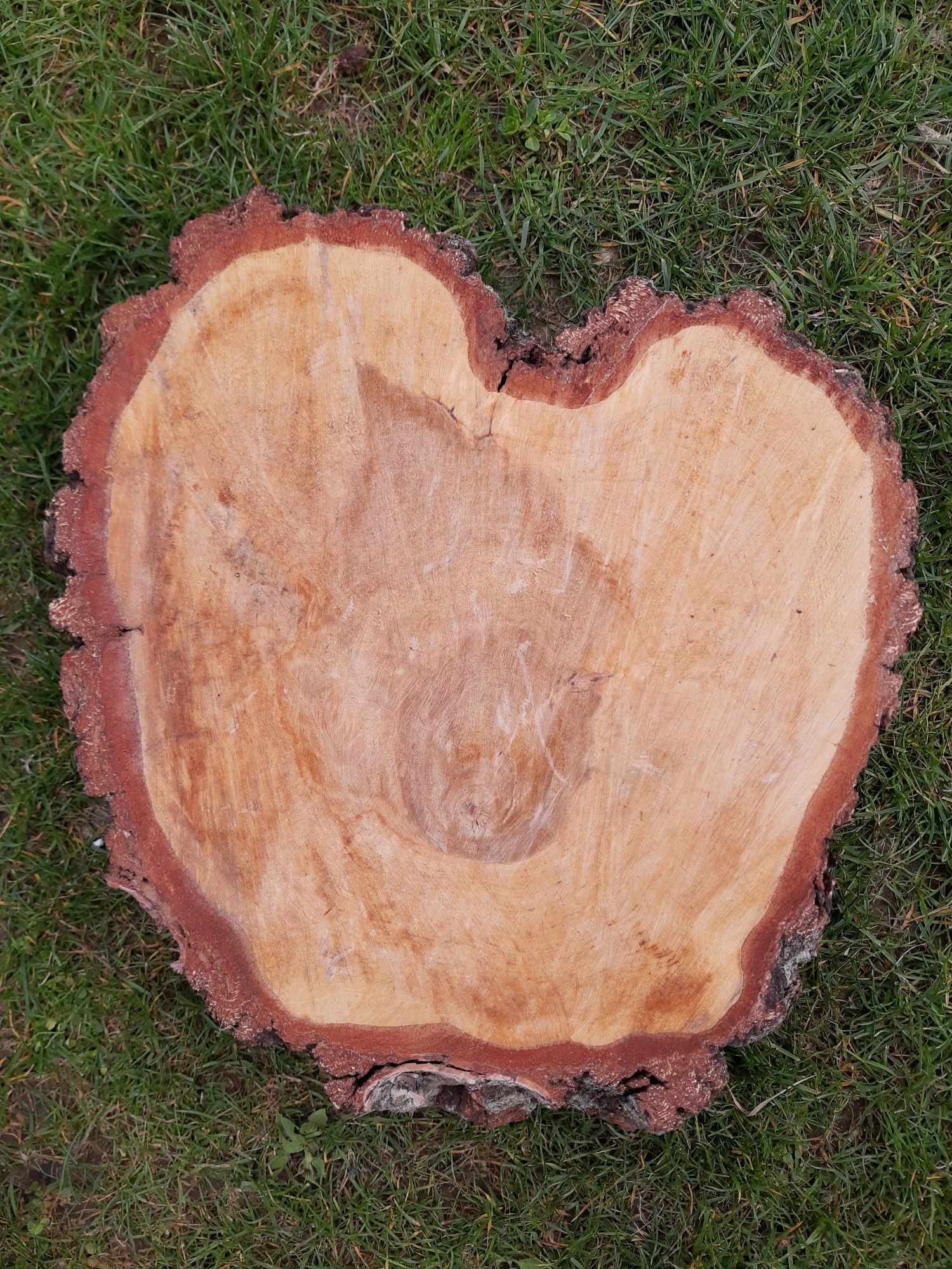 Plaster drewna w kształcie serca z brzozy