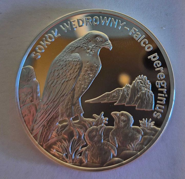 Moneta NBP, 2008, srebro, Sokół wędrowny, nominał 20 zł