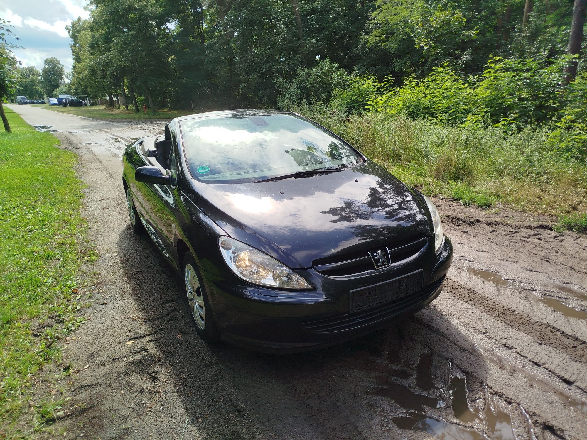 Peugeot 307 CC kabrio