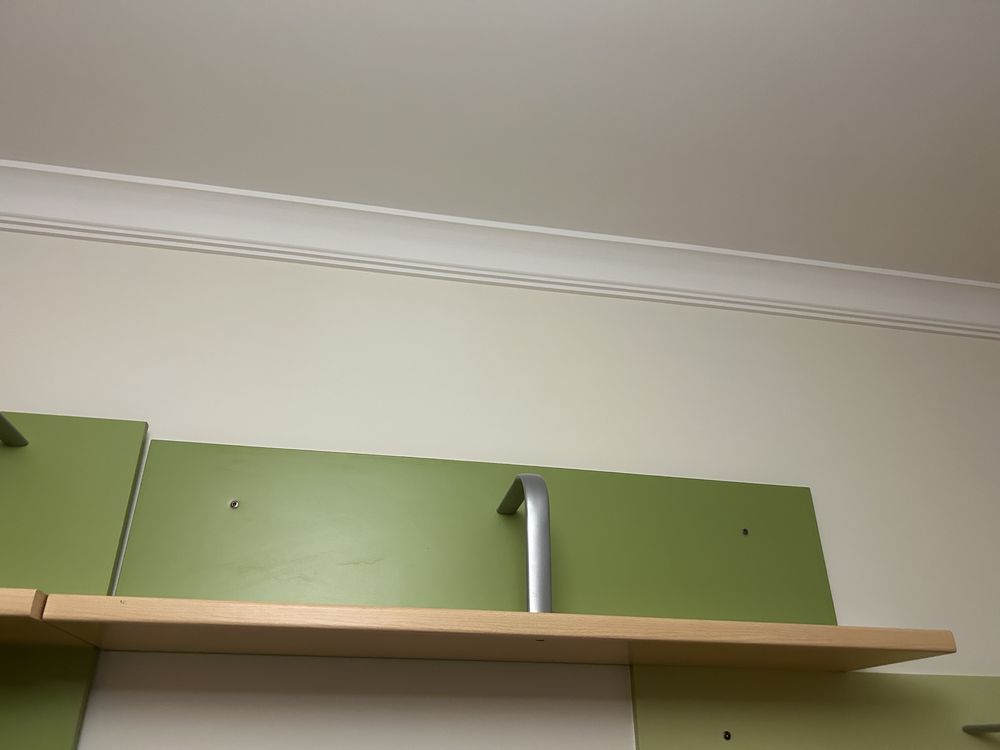 Prateleira  fundo verde