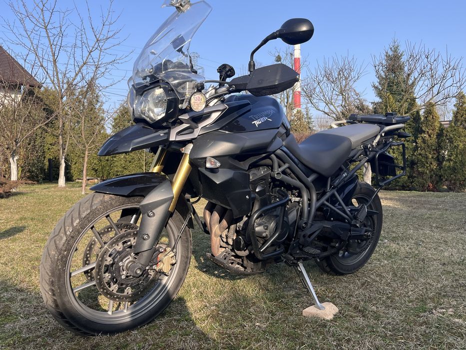 triumph toger 800