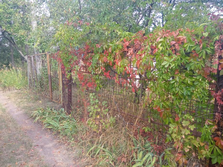 Продам дачу, общество Рассвет, пос. 40 лет