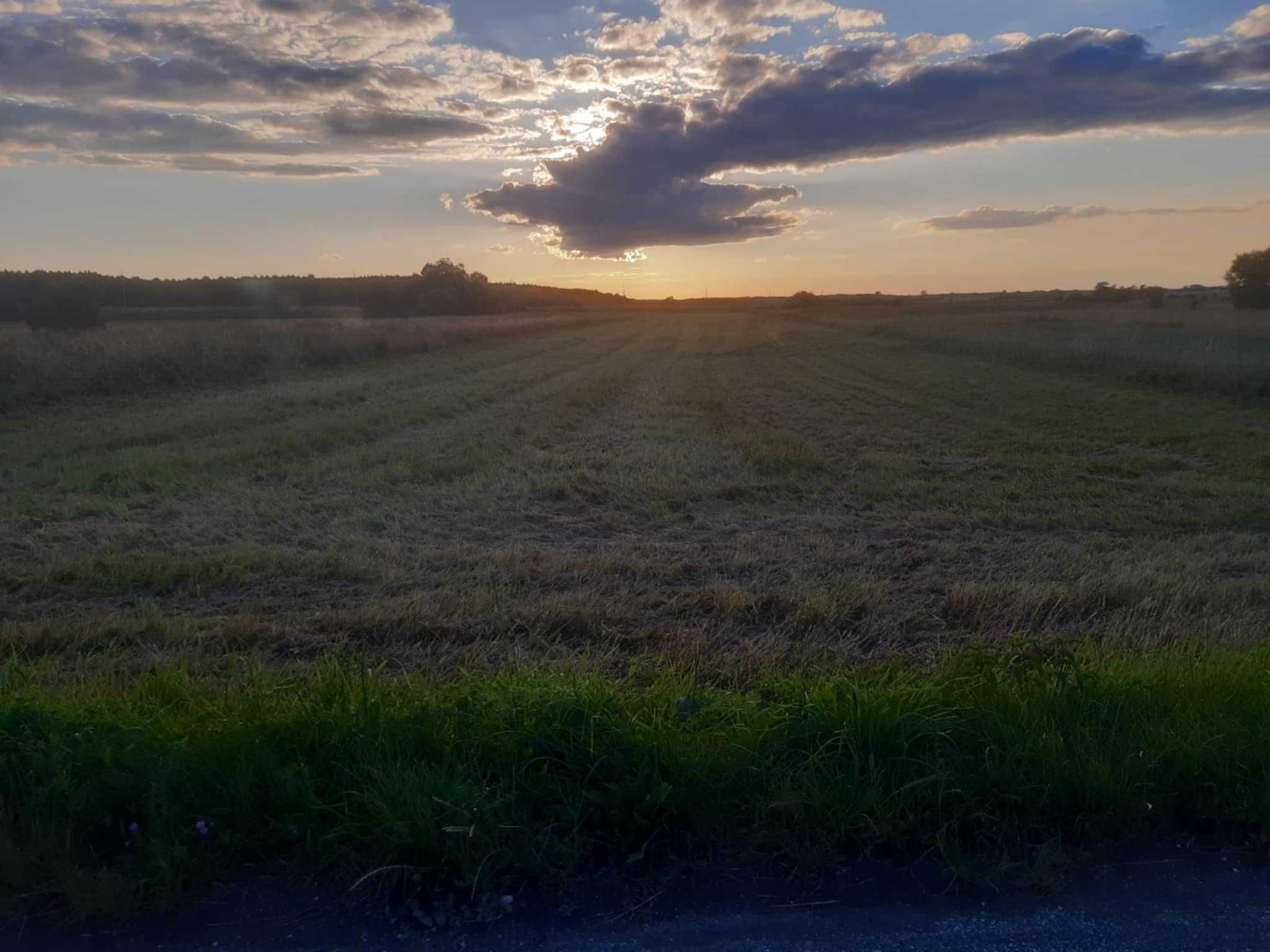 ŁĄKA DO SKOSZENIA / siano oddam za darmo