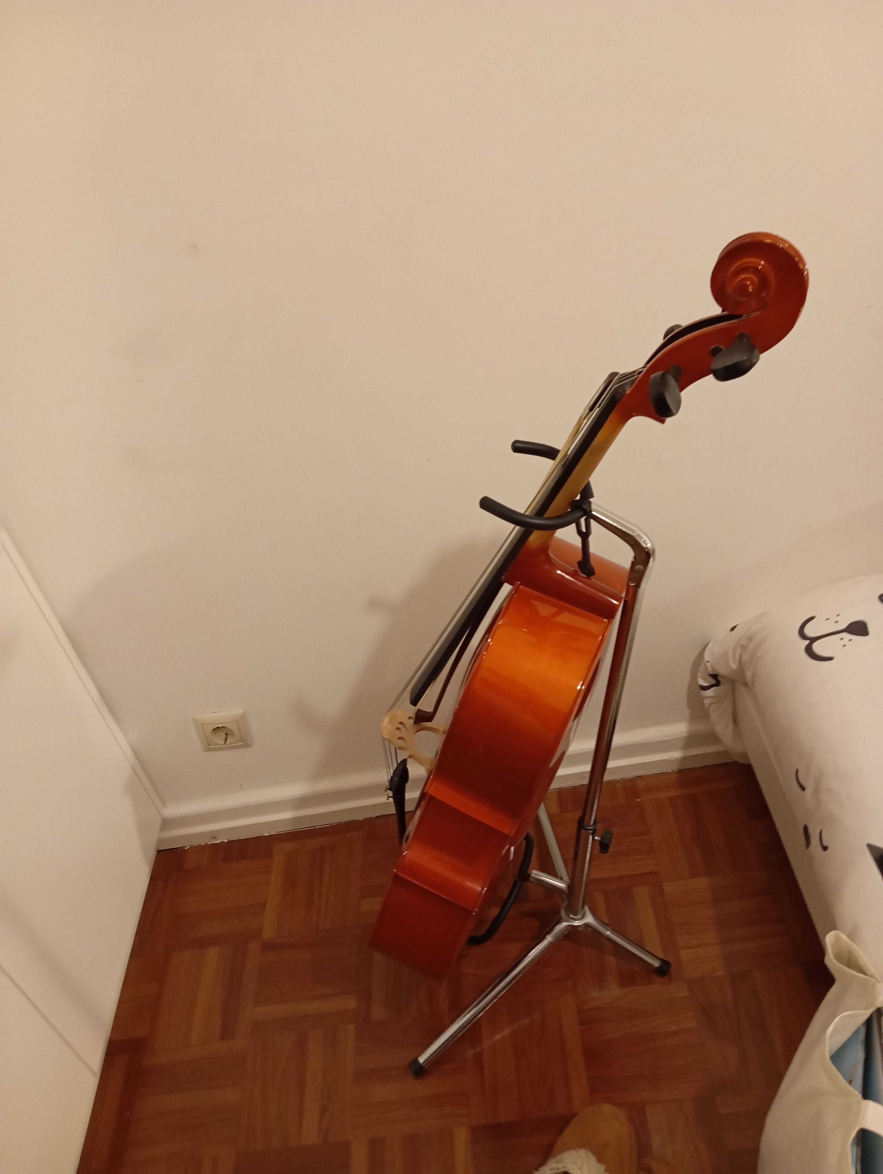 Violoncelo Cervini 1/2
