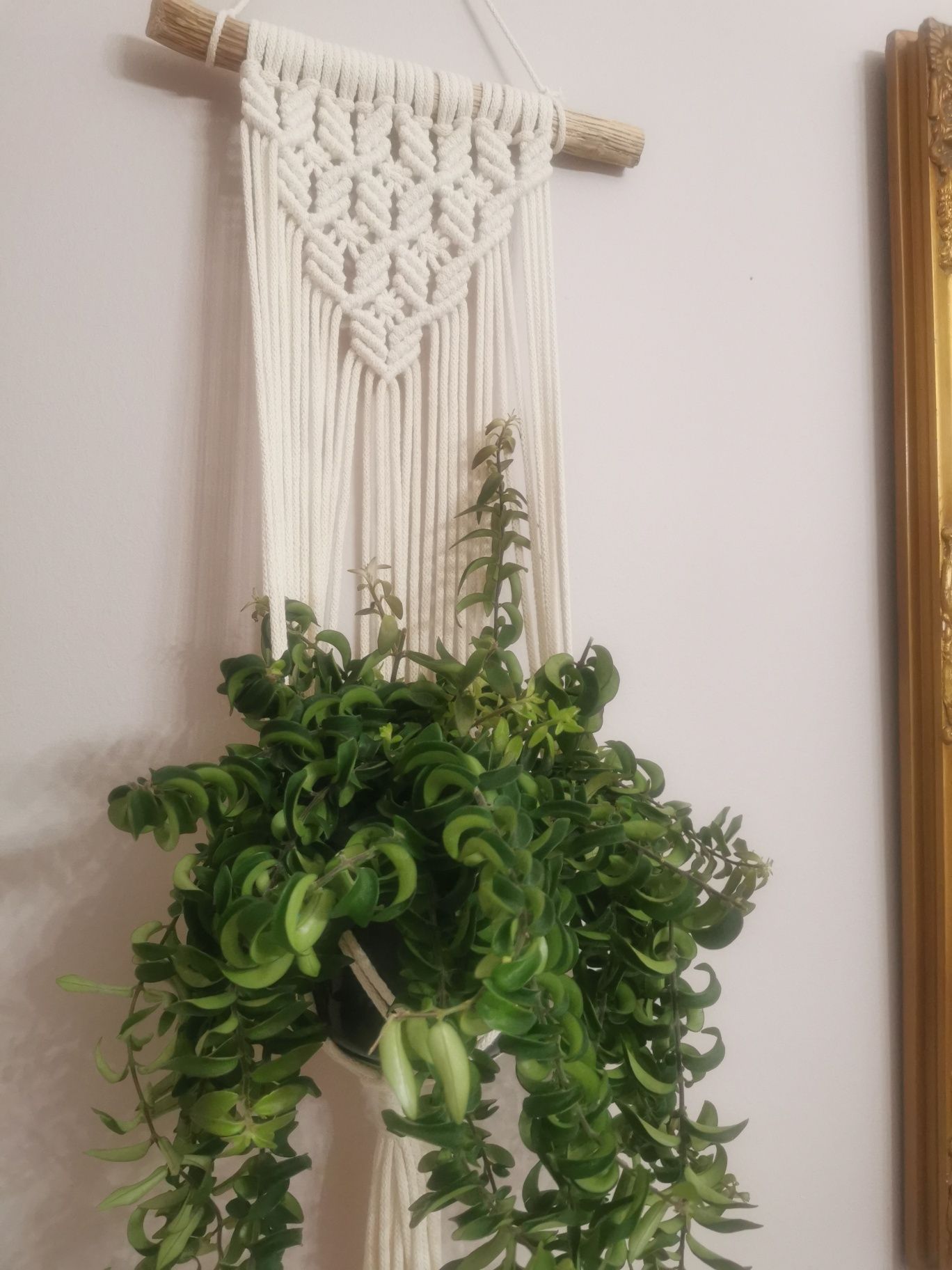 Kwietnik makrama Boho