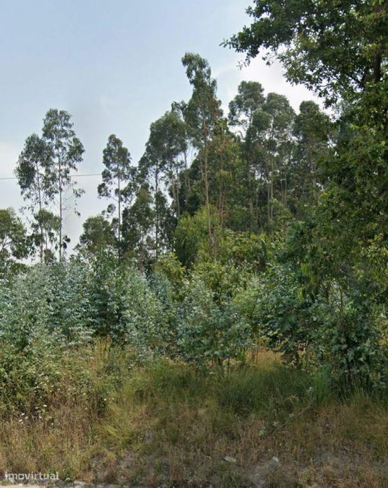 Terreno 7300m2 ao Aeroporto ( Renda Mensal)