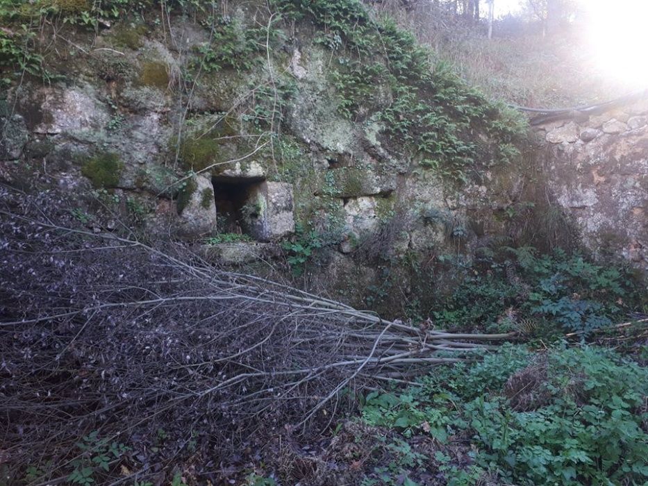 Quinta em Travanca, moinho azenha em ruínas, ribeiro com água corredia