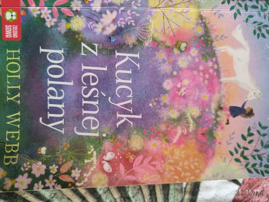 Kucyk z leśnej polany