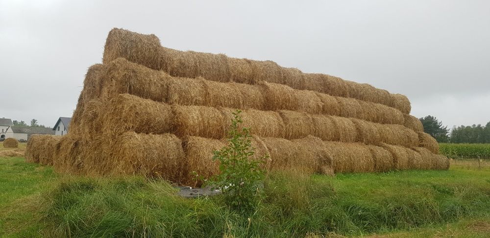 Słoma siano w belach