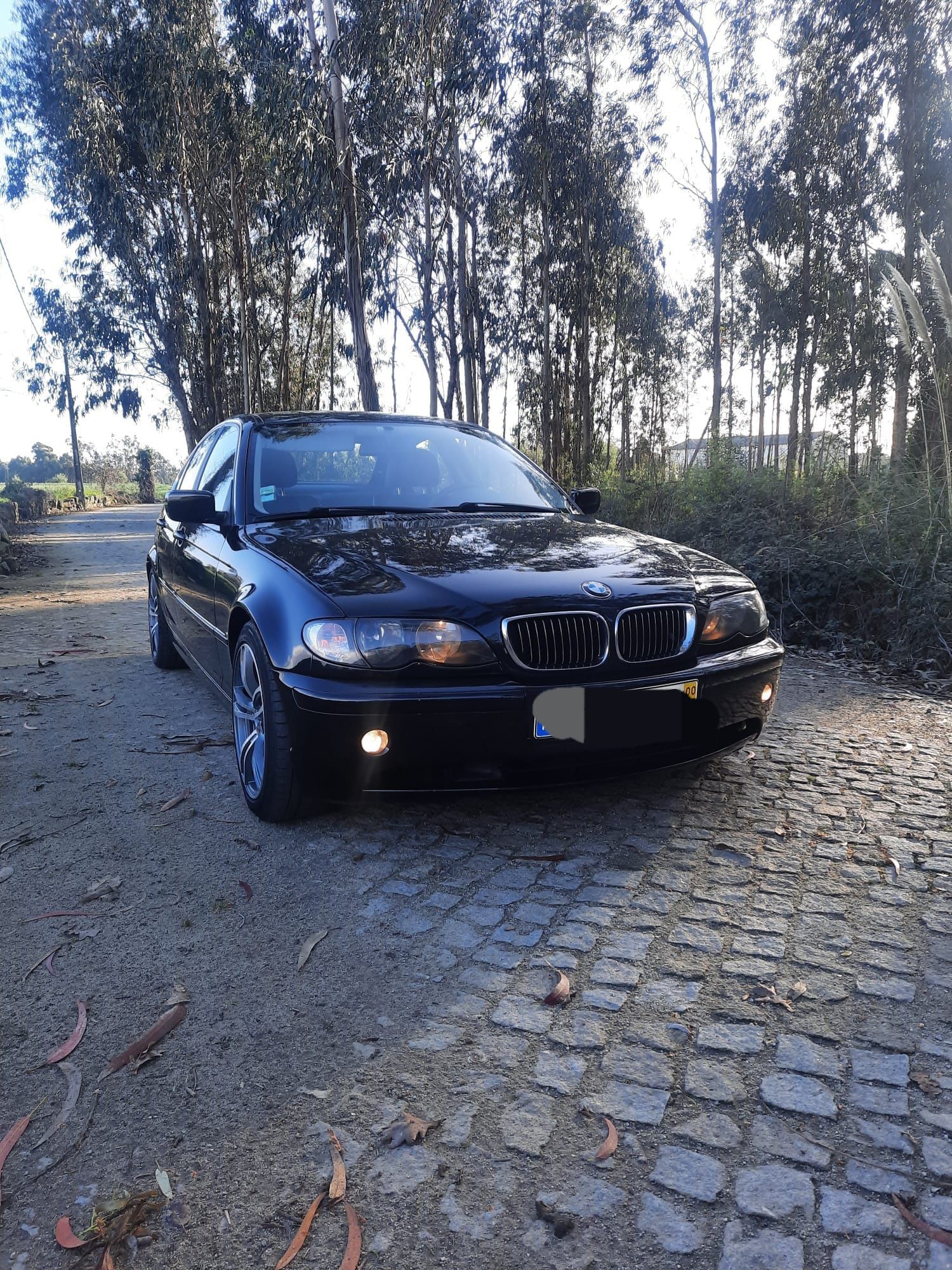 BMW 320  com swap de 330