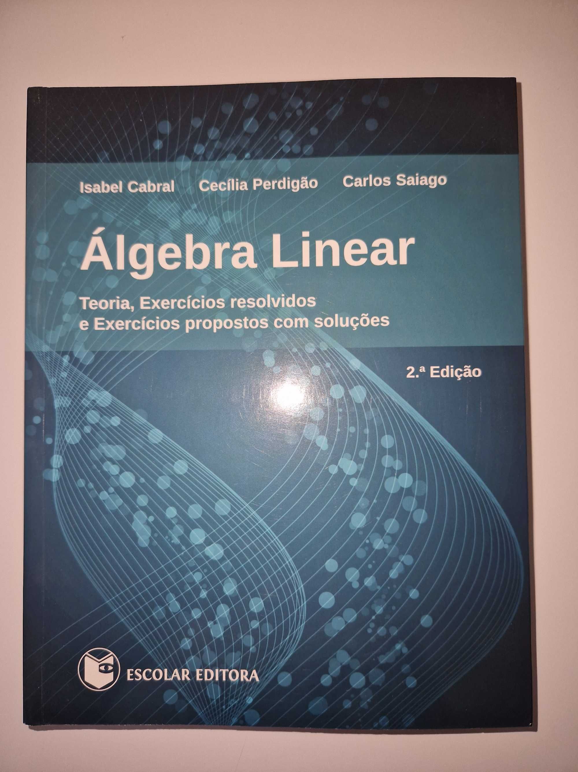 Álgebra Linear - Teoria, Exercícios Resolvidos e Exercícios Propostos