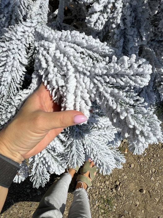 Лита ялинка Швейцарська, штучна ялинка, ялинка, сосна, елка