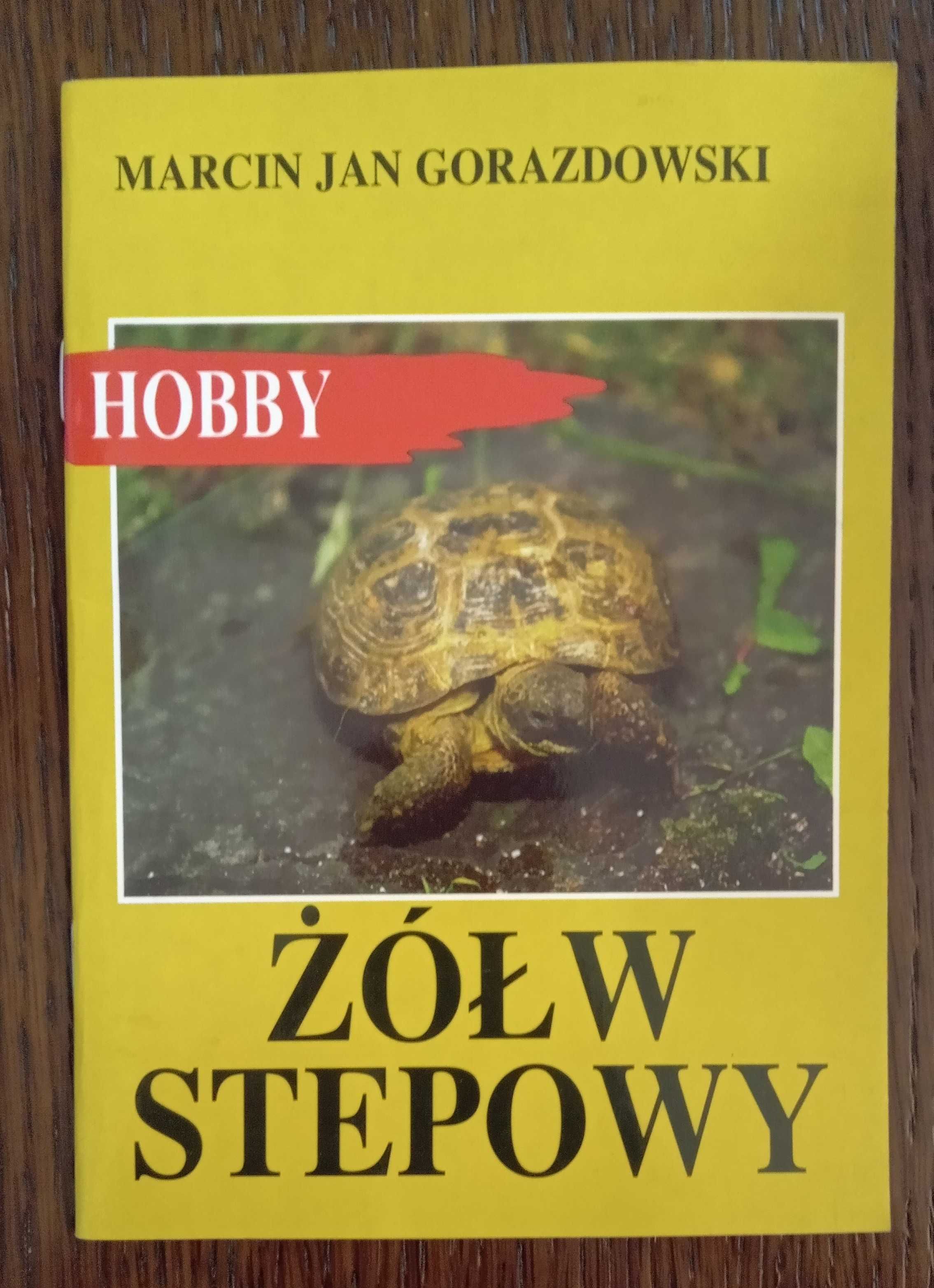 Żółw stepowy - Marcin Jan Gorazdowski