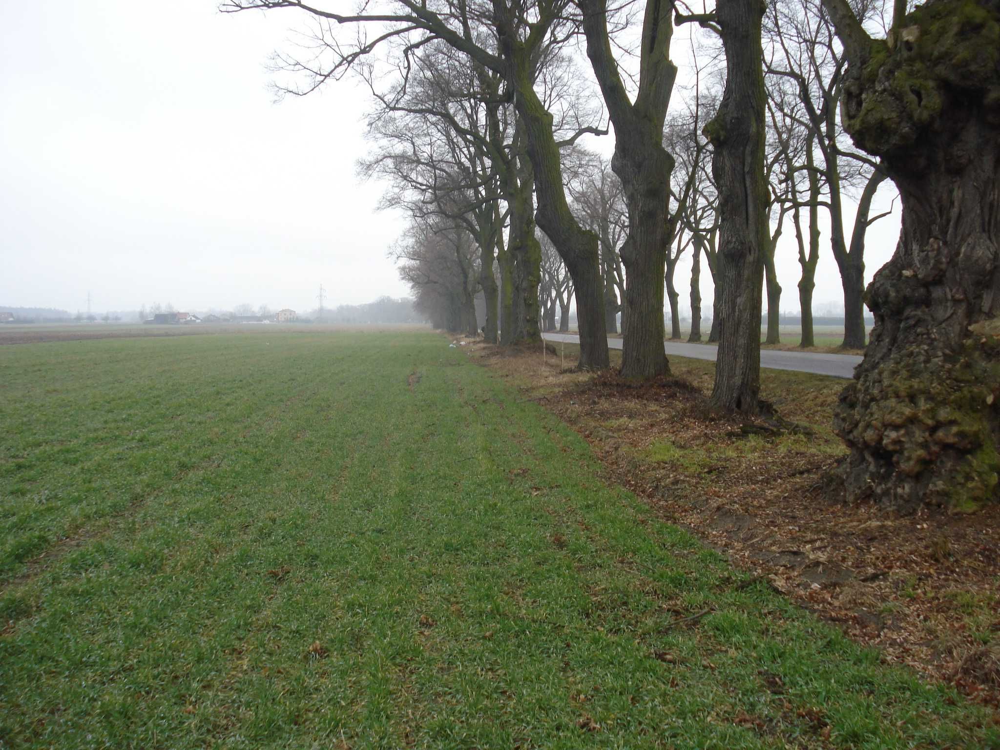 Działka rolno - budowlana OKAZJA!!