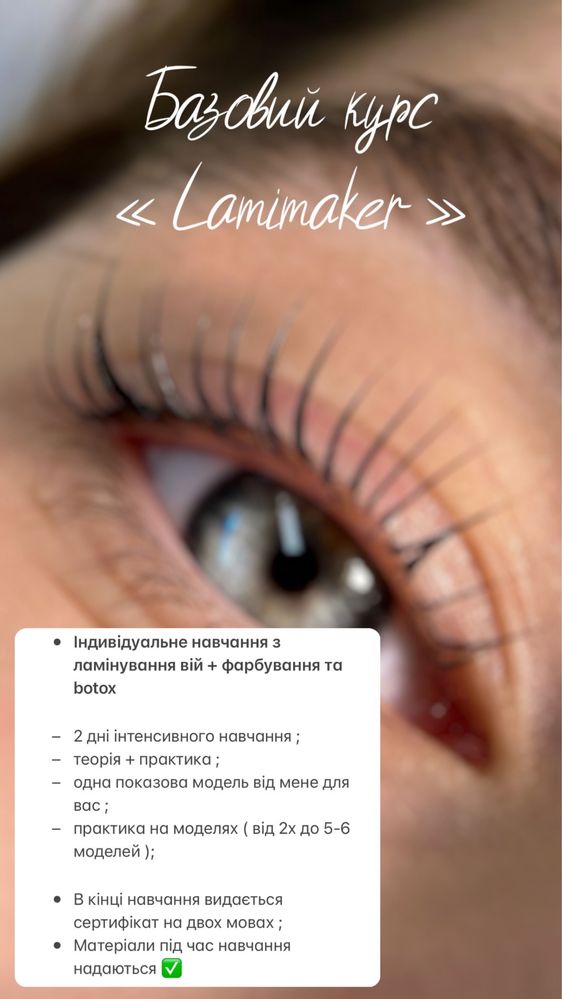 Обучение брови . Брови . Бровист . Базовый курс