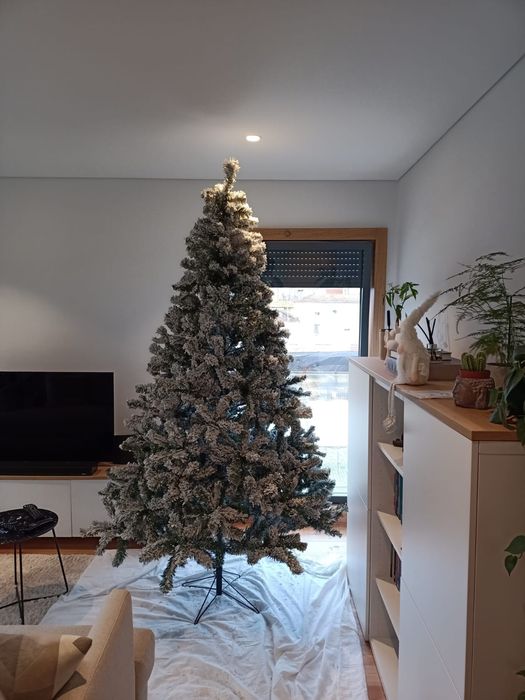 Árvore de Natal com neve