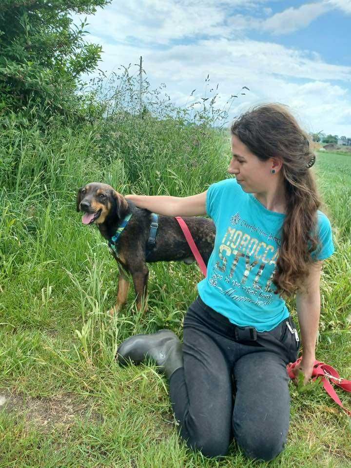 Szaruś - niewidoczny słodziak szuka nowej rodziny ADOPCJA
