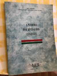 Livro A Penhora por dívidas dos cônjuges