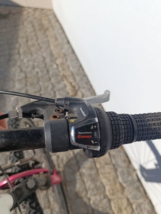 Bicicleta criança Berg Charm 243