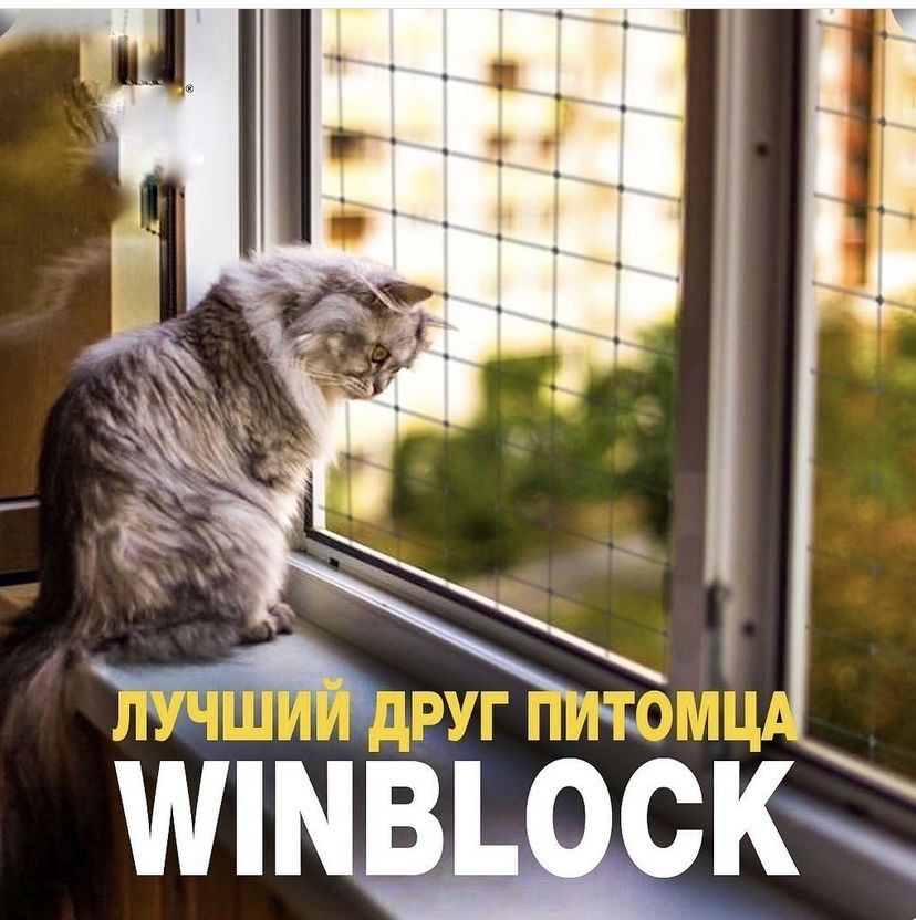 Кошка, котята,безопасность,сетка на окна,защита,балкон,окна ,WinBlock