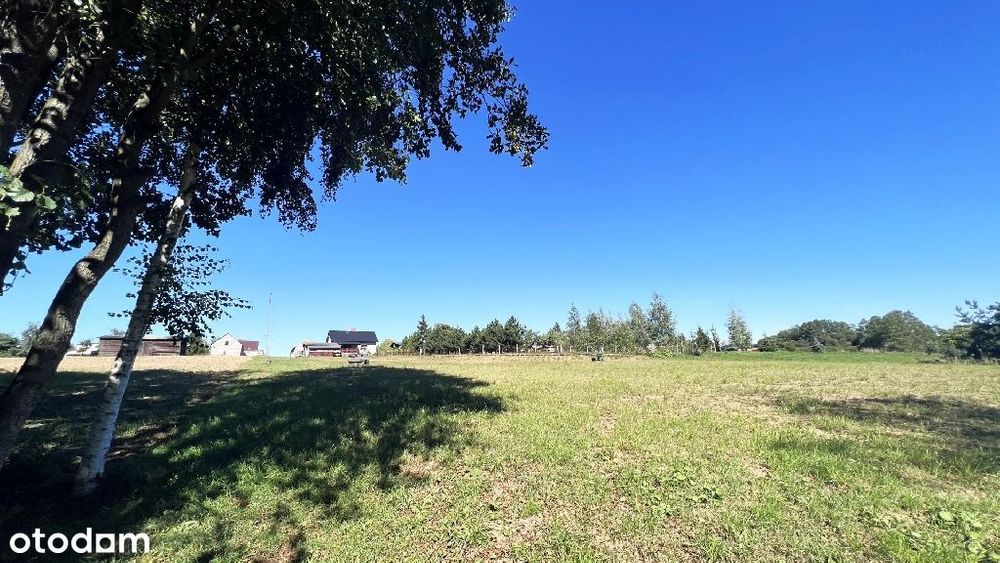 Dom na działce 5 tys M ze stawem i brzegiem Drwęcy