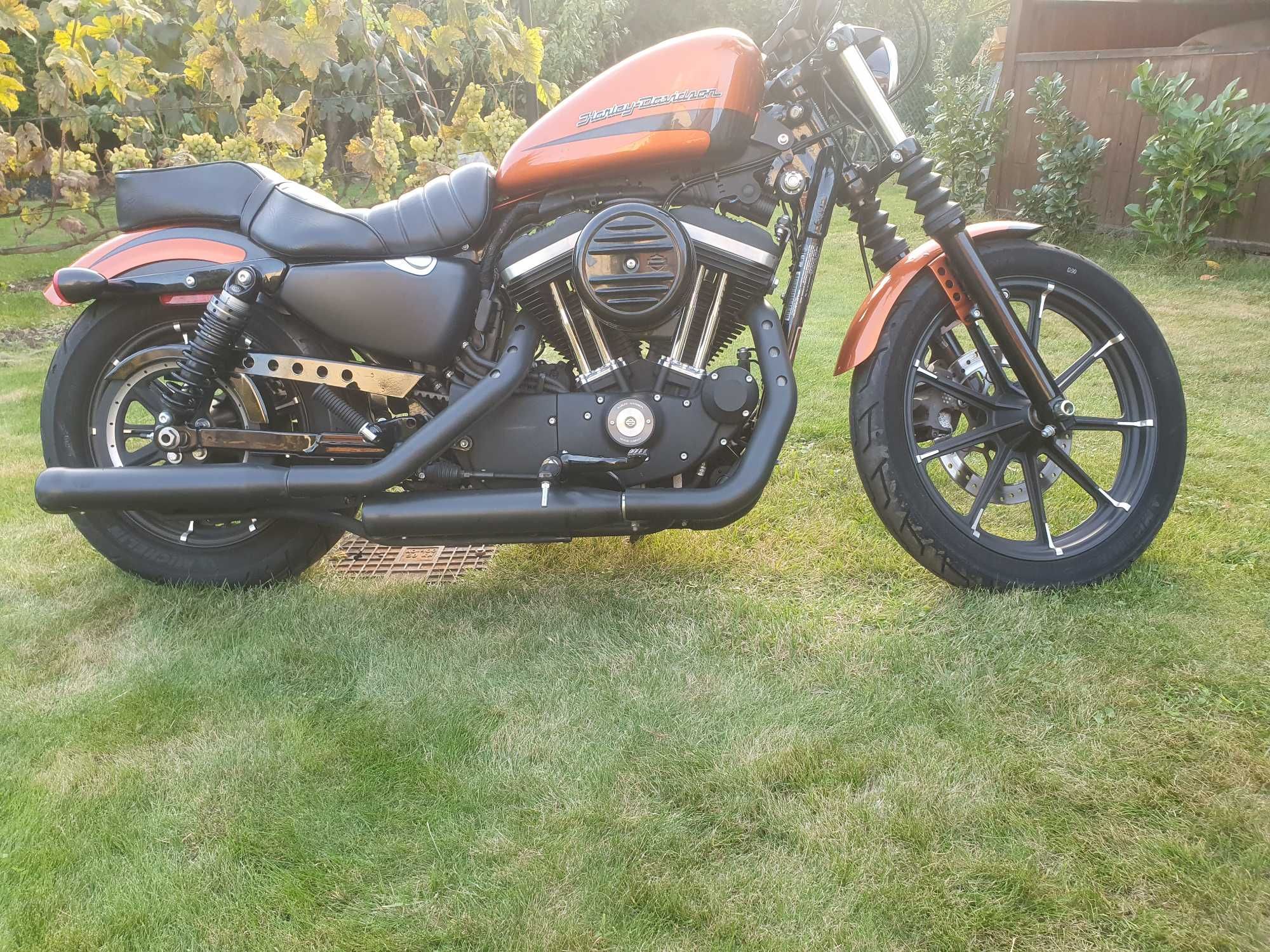 Harley Davidson sportster XL883 N rok2020