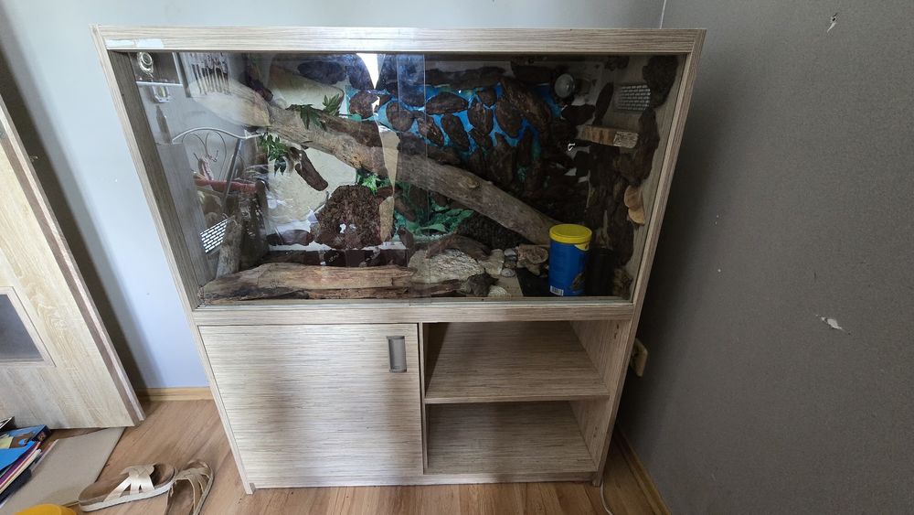 Terrarium gadów jaszczurki