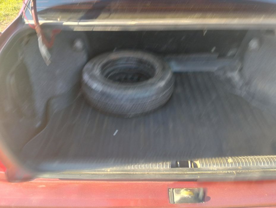 Део Рейсер (кадет)