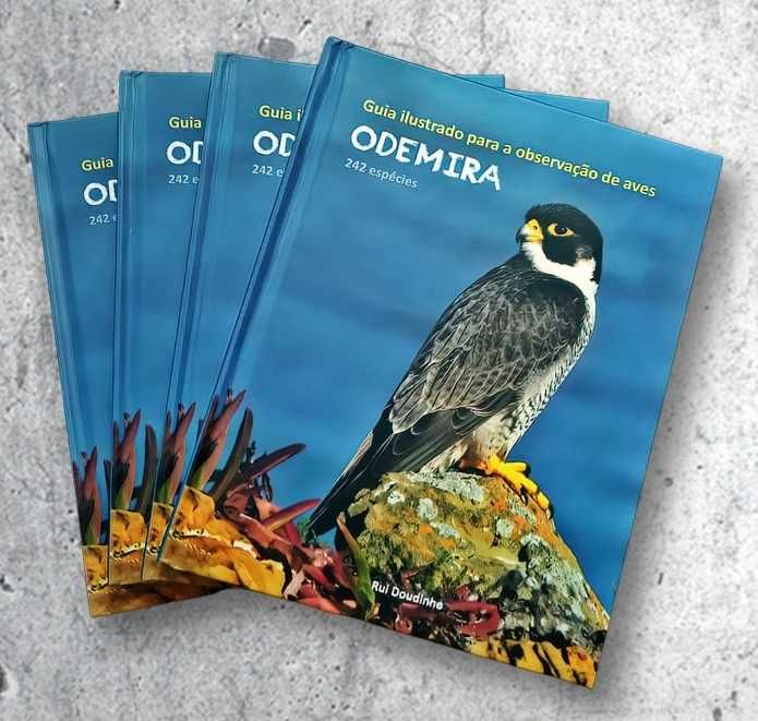 Guia de Aves do Concelho de Odemira