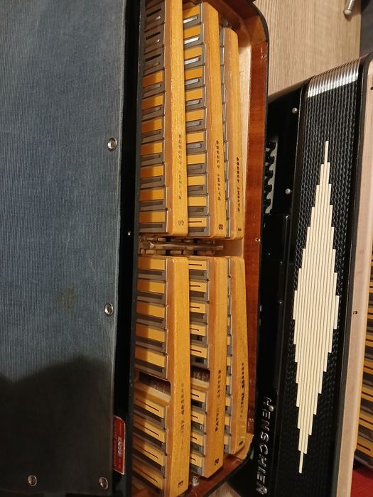 Włoski akordeon 3 chórowy Victoria