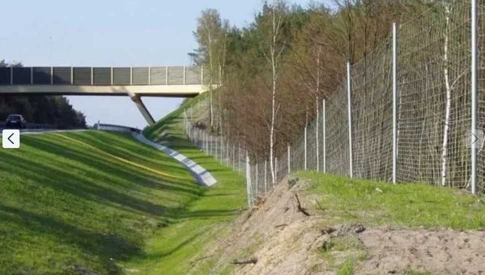 Słupki ogrodzeniowe metalowe OCYNK fi 40mm kapturek gratis 200cm