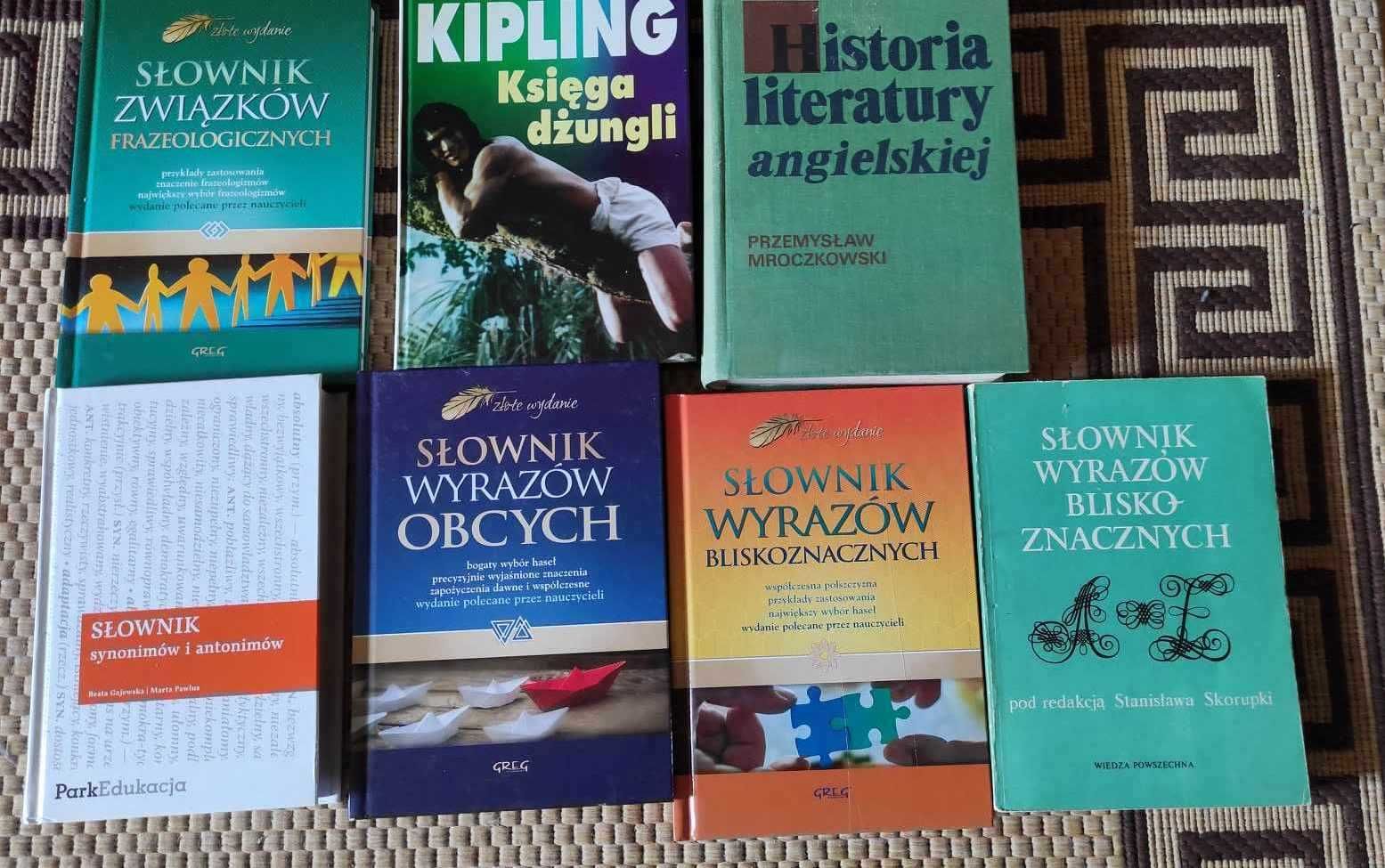 Historia literatury angielskiej P. Mroczkowski