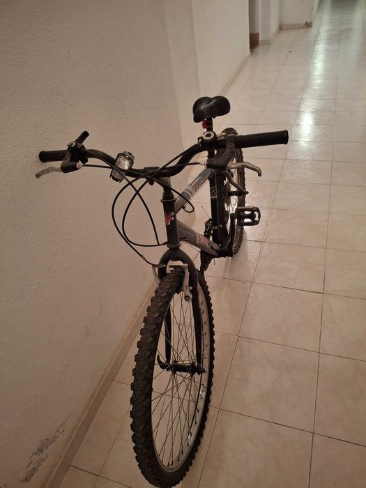 Bicicleta de adulto