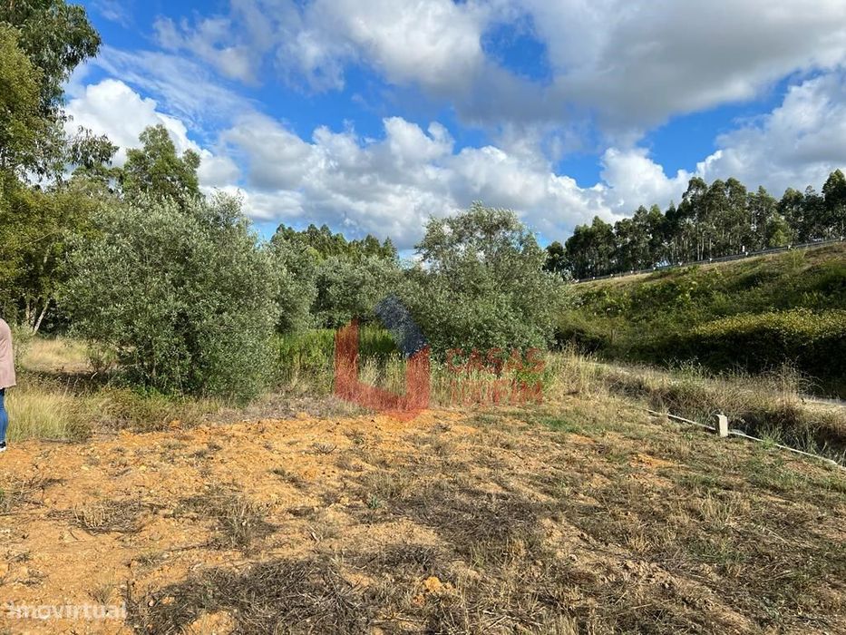 Terreno rústico Eucaliptal/Olival com 2.880m2 em Chão de Feira, Cal...