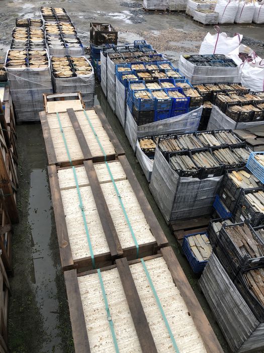 Болгарський сланець,Натуральний камінь,Облицовка,Соломка,Плитка,Дикий