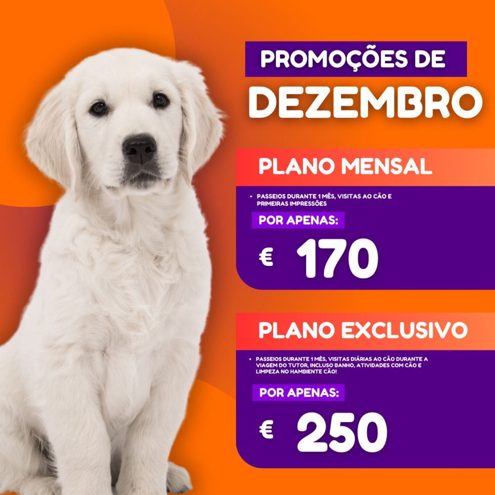 Designer Grafico
