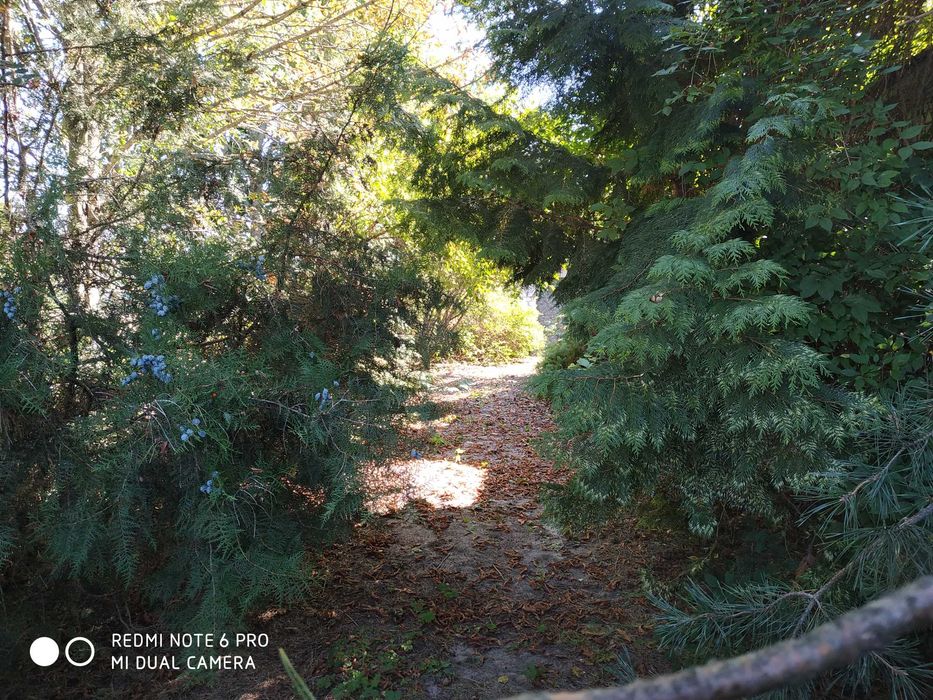 Будинок у с. Опеньки, Чернігівська область