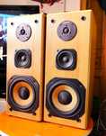Kolumny podłogowe Audio Mega BRX 110-140W